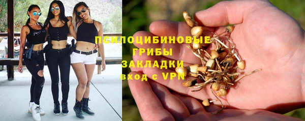 хмурый Дегтярск