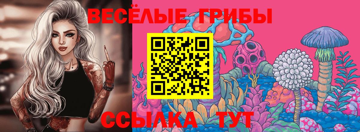 Галлюциногенные грибы мухоморы Усолье-Сибирское