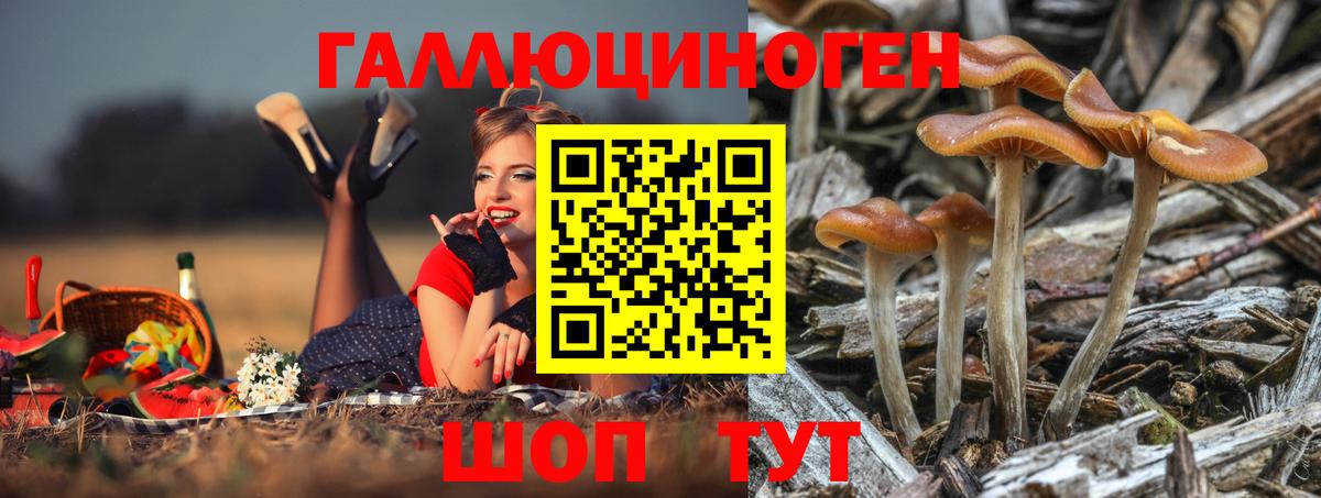 Псилоцибиновые грибы мицелий  Галлюциногенные грибы Magic Shrooms  магазин продажи наркотиков  Усолье-Сибирское  Вход с VPN 